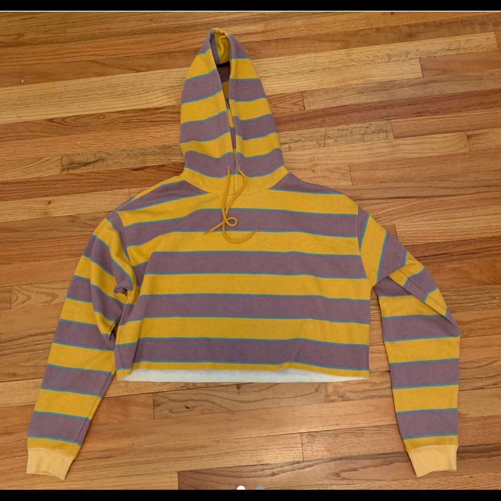 Urban outfitters cropped hoodie